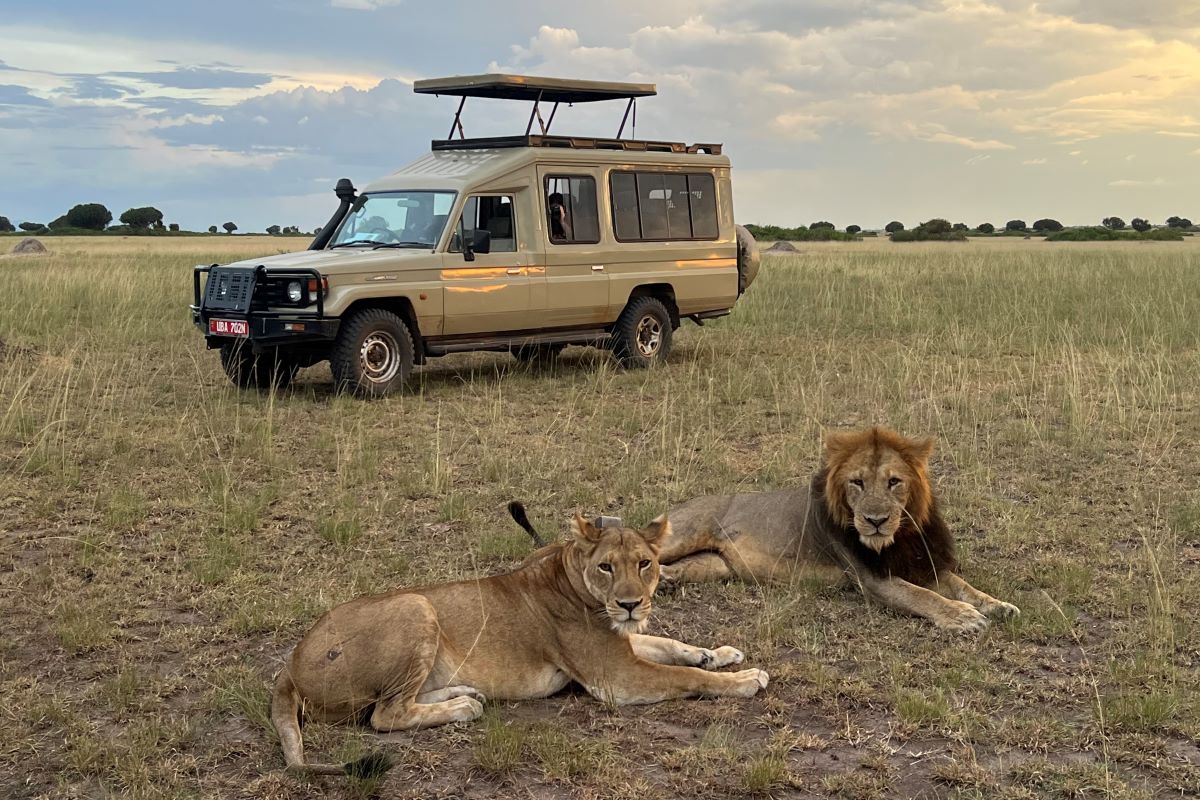 Uganda safari planning with wildlife, scenic landscape, and custom safari atmosphere