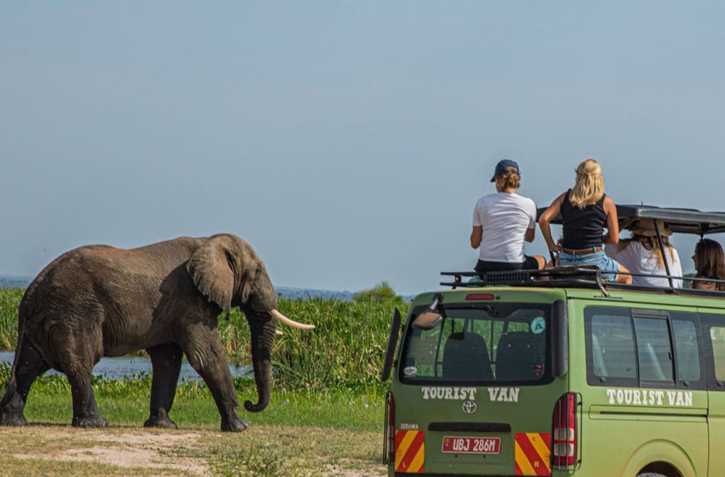 Uganda trip planning image showing safari atmosphere, travel movement, and budget expectations