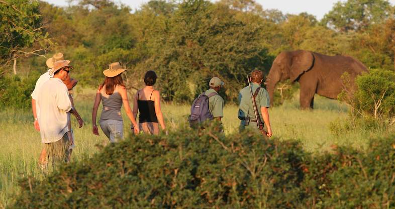 Walking safari in South Africa
